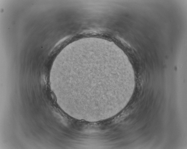 X0000086111206200704202257