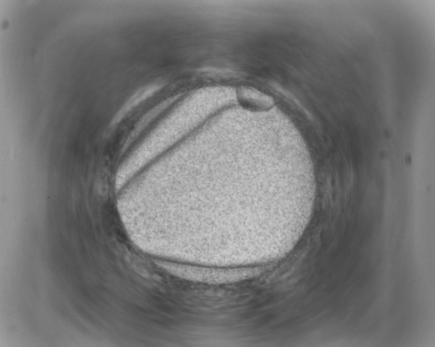 X0000086111207200704202257