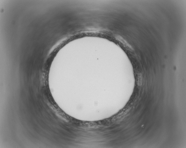 X0000086111208200704202257