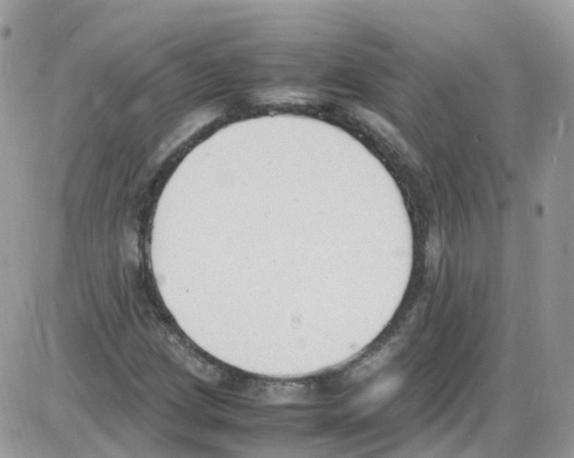 X0000086111209200704202257