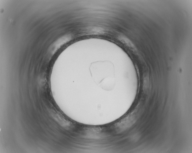 X0000086111210200704202257