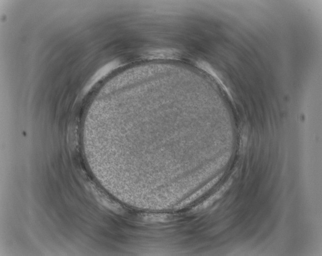 X0000086111211200704202257