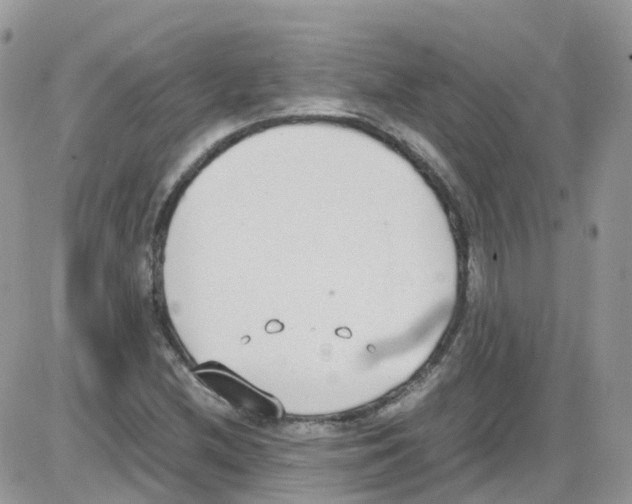 X0000086111212200704202257