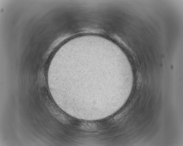 X0000086111215200704202257