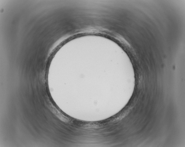 X0000086111216200704202257