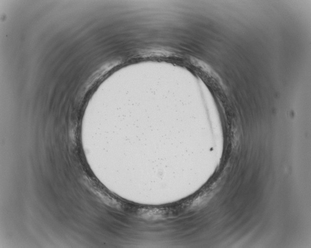 X0000086111217200704202257