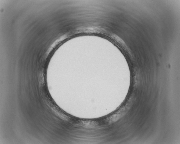 X0000086111218200704202257