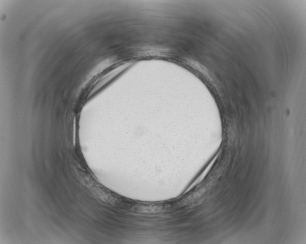 X0000086111219200704202257