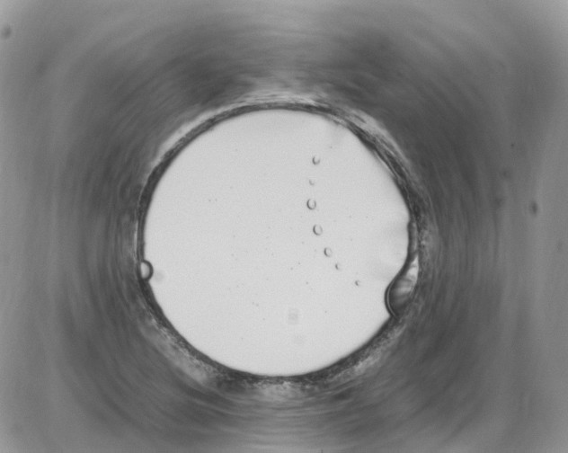 X0000086111220200704202257