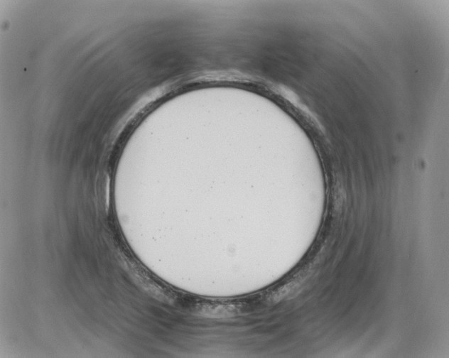 X0000086111221200704202257