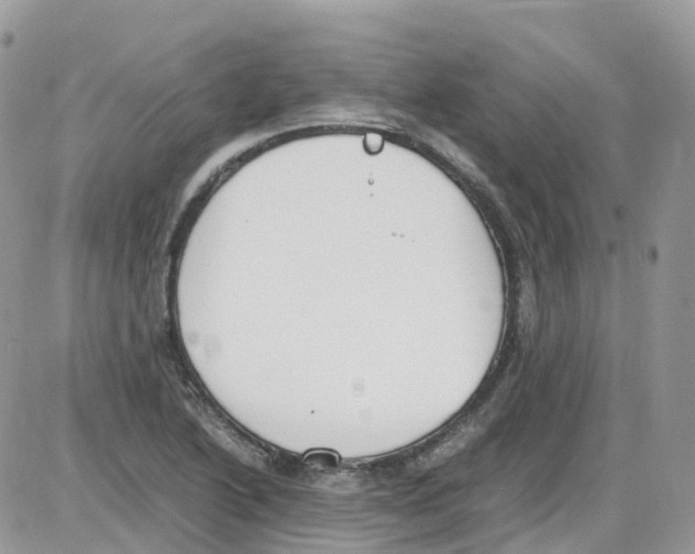 X0000086111222200704202257