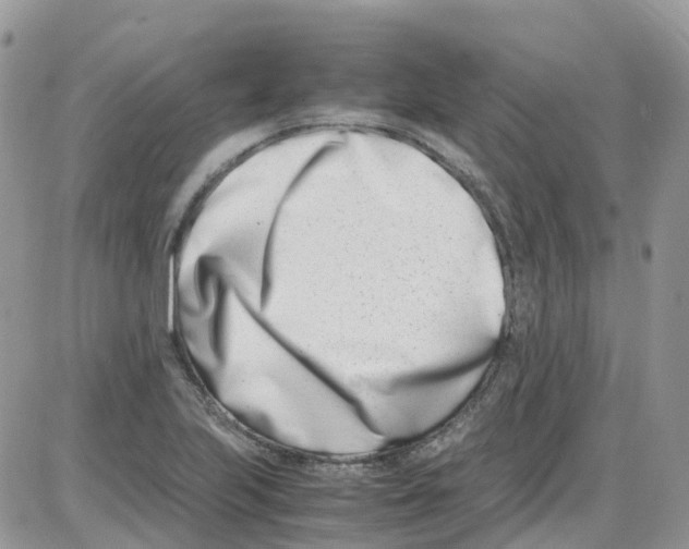 X0000086111223200704202257