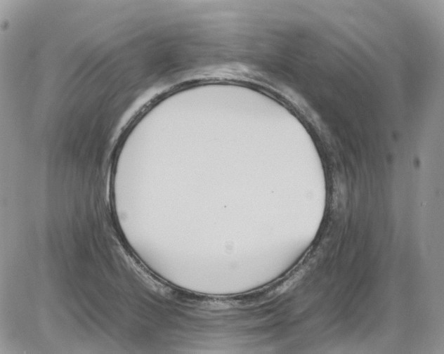 X0000086111224200704202257