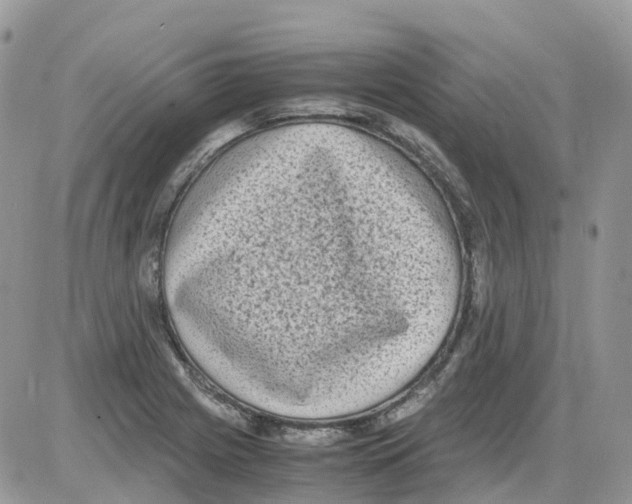 X0000086111225200704202257