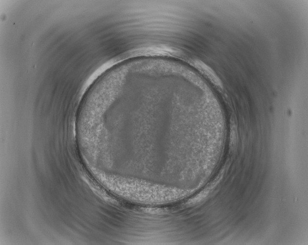 X0000086111226200704202257