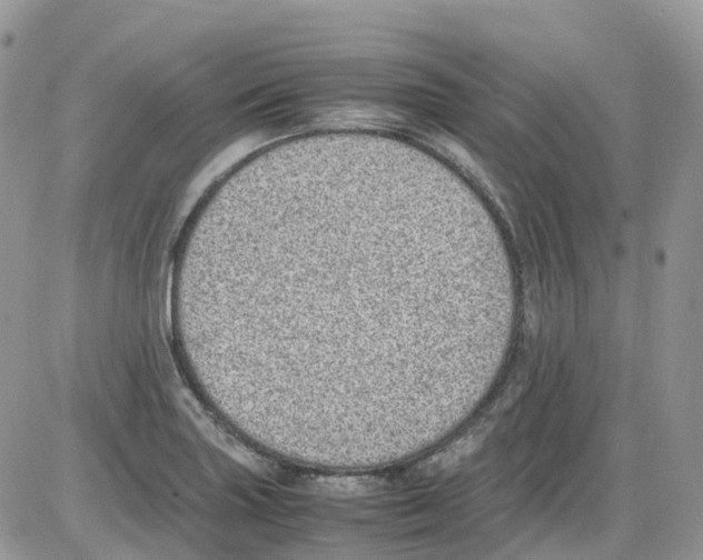 X0000086111227200704202257