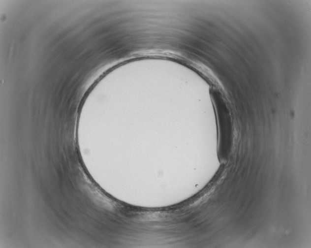 X0000086111228200704202258