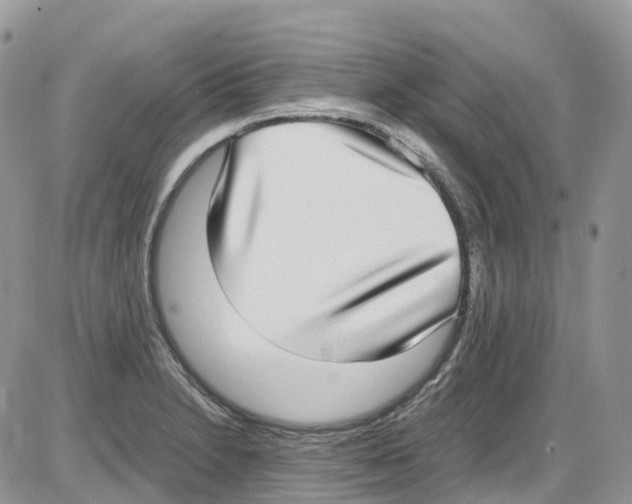 X0000086111230200704202258