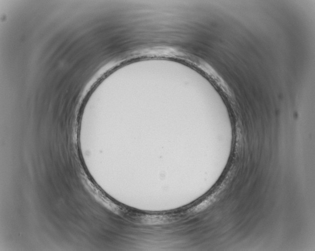 X0000086111232200704202258