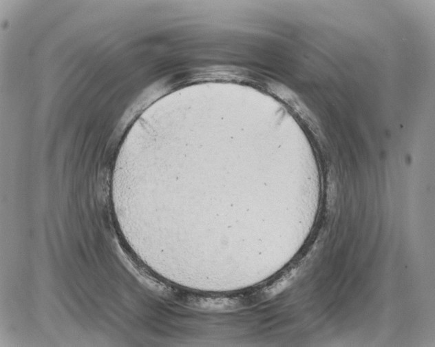 X0000086111233200704202258