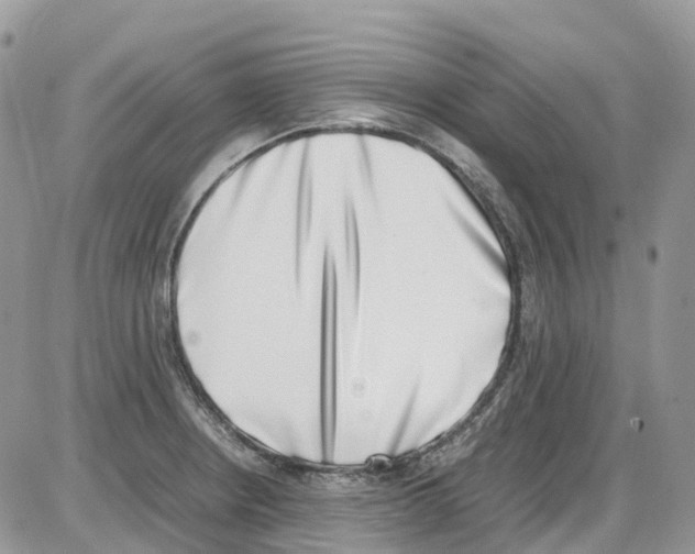 X0000086111234200704202258