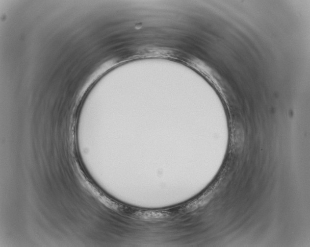 X0000086111235200704202258