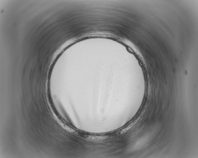 X0000086111237200704202258