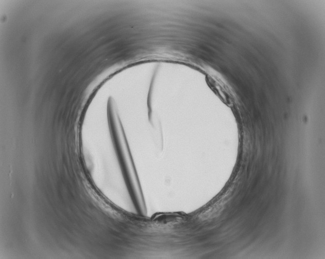 X0000086111238200704202258