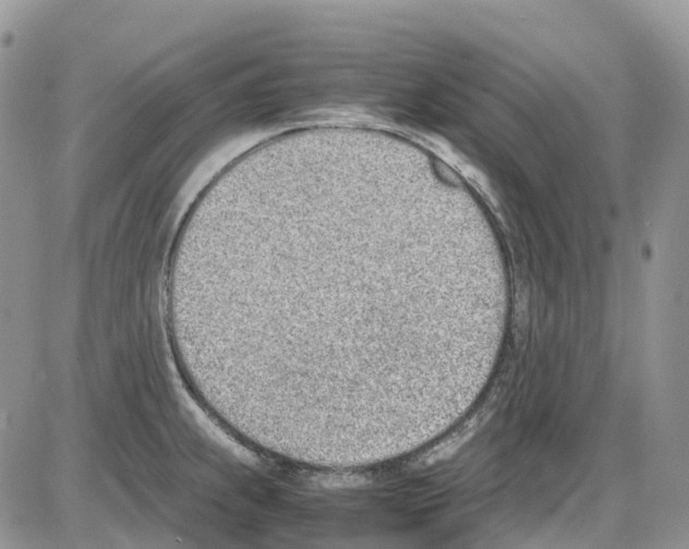 X0000086111239200704202258