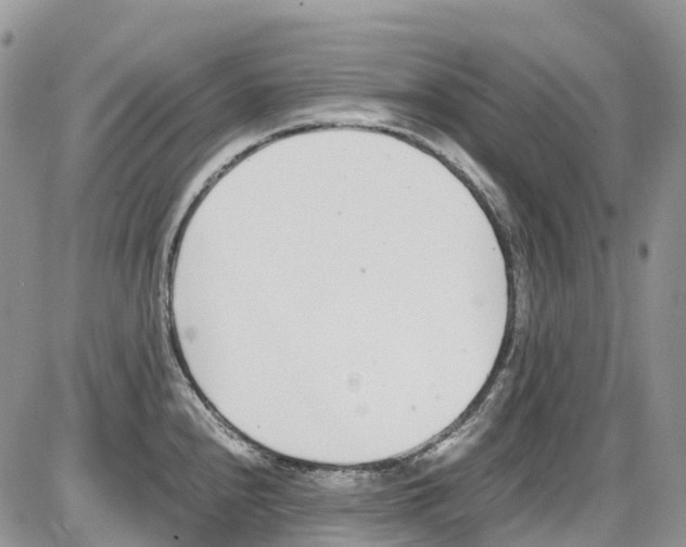 X0000086111240200704202258