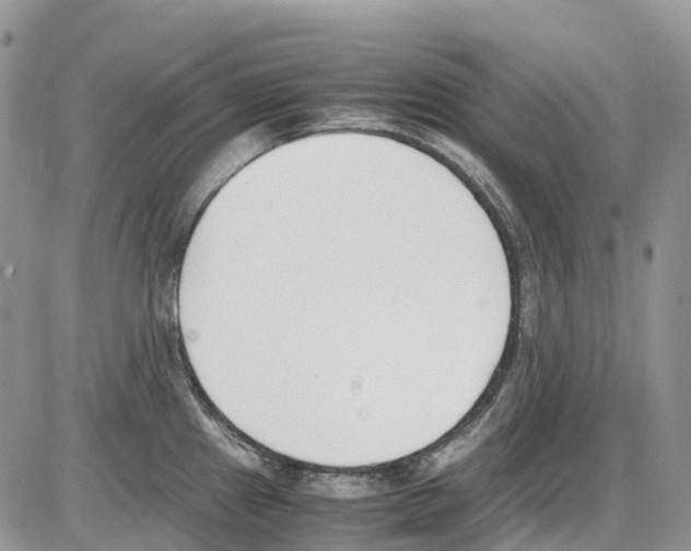 X0000086111241200704202258