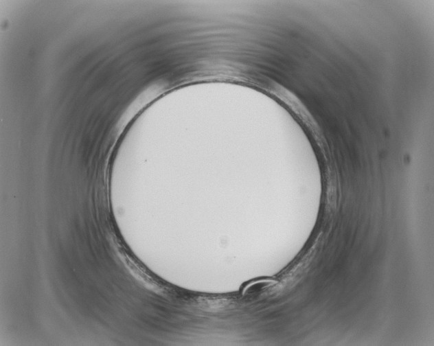 X0000086111242200704202258