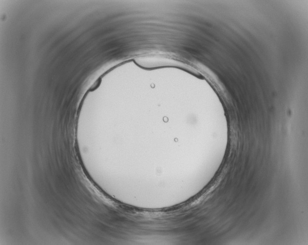 X0000086111244200704202258