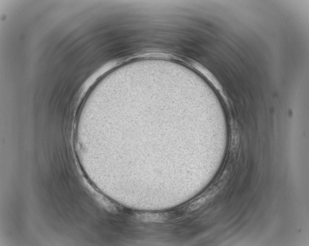 X0000086111245200704202258