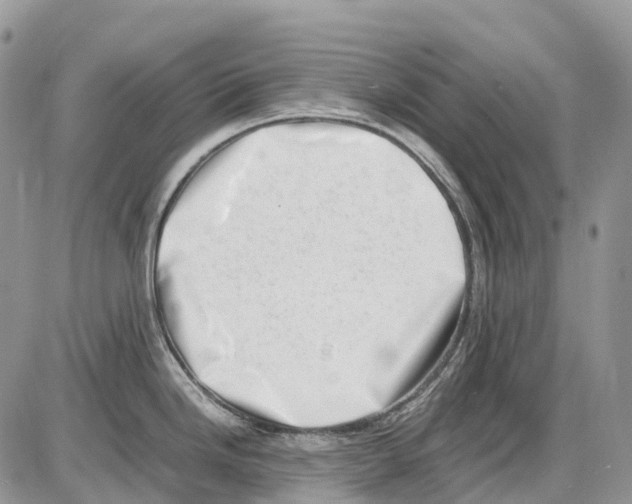 X0000086111246200704202258