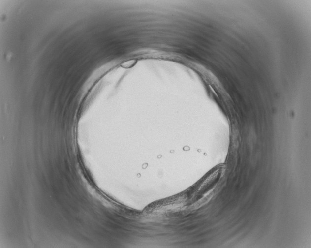 X0000086111247200704202258