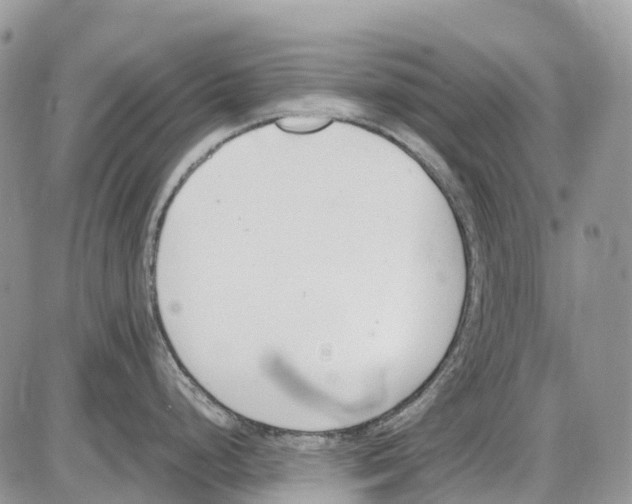 X0000086111248200704202258