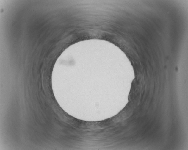 X0000086111249200704202257