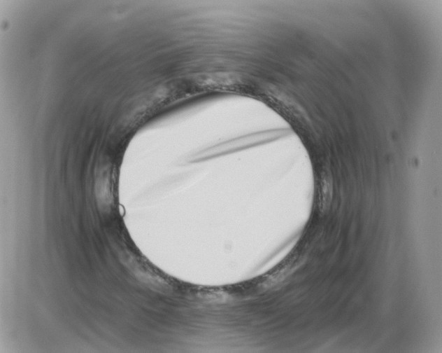 X0000086111250200704202257