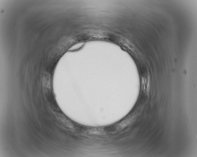 X0000086111251200704202257