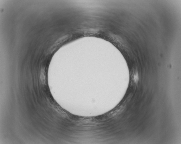 X0000086111252200704202257