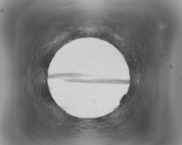 X0000086111253200704202257