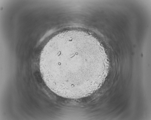 X0000086111255200704202257