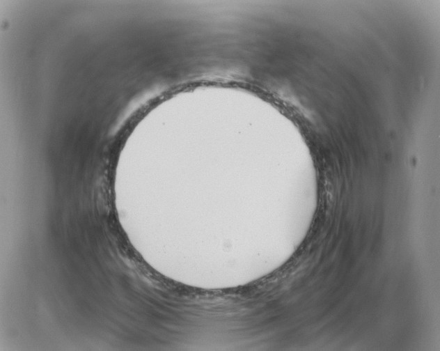 X0000086111256200704202257