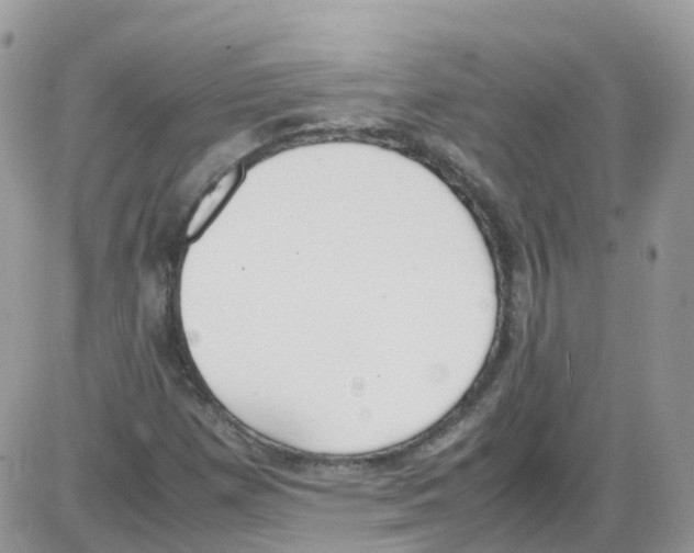 X0000086111257200704202257