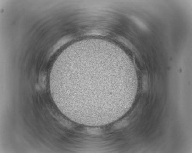 X0000086111258200704202257