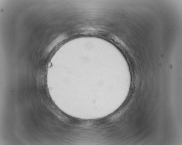 X0000086111259200704202257