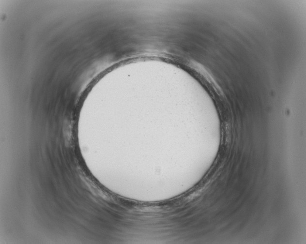 X0000086111260200704202257