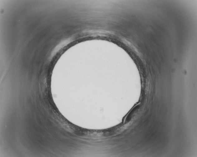 X0000086111261200704202257