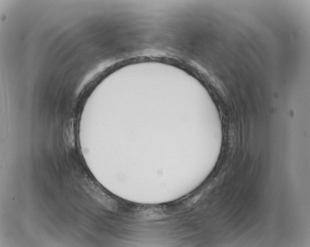 X0000086111262200704202257